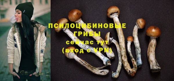 дживик Балабаново